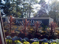 Palmetto Dunes