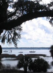 Boat Rentals in Hilton Head and the Lowcountry