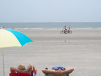 Forest Beach of Hilton Head Island