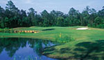 Eagle's Pointe Golf Club in Hilton Head