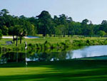 George Fazio golf course on Palmetto Dunes