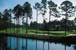 Robert Cupp Golf Course at Palmetto Hall Plantation