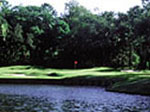 Sea Marsh at Sea Pines Resort in Hilton Head